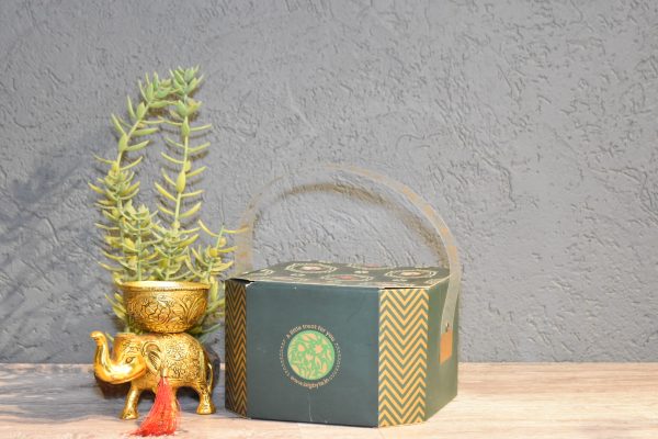 A-green-plant-beside-a-box-and-a-golden-elephant-representing-the-Botanic-Hexa-theme